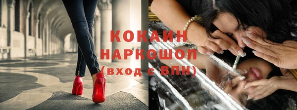 кокс Инта