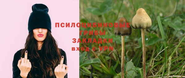 бутират Иннополис