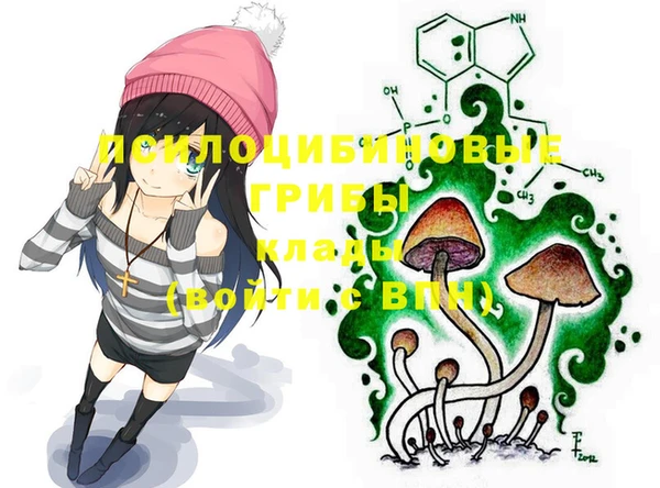кокс Инта