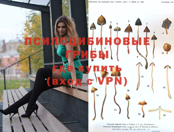 кокс Инта