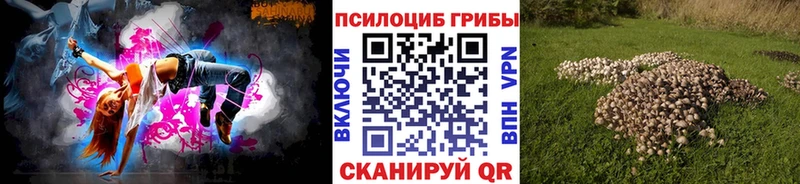 Купить где  Нижние Серги  Псилоцибиновые грибы MAGIC MUSHROOMS 